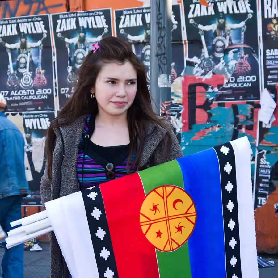 Bandera wenufoye mapuche